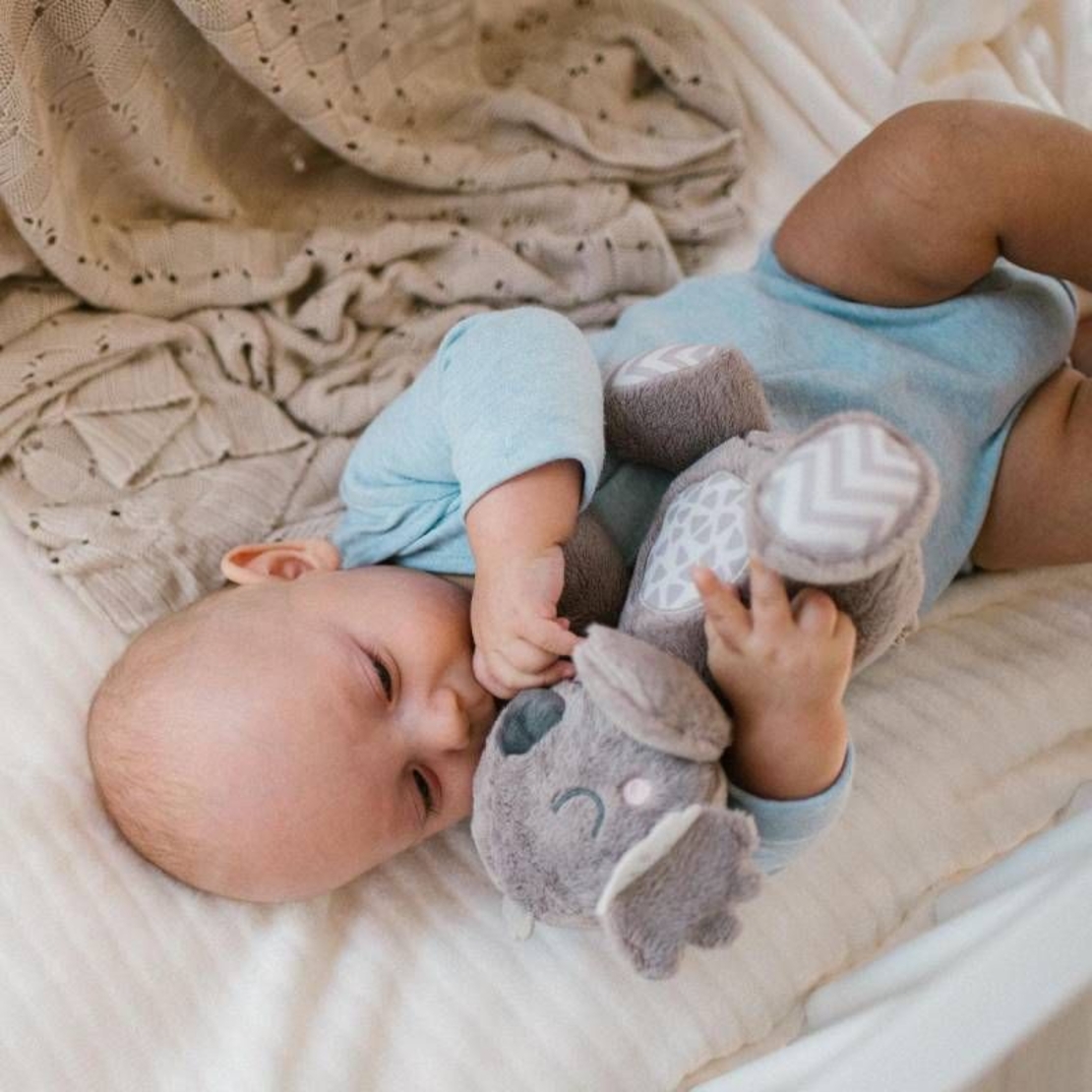 Бебешка плюшена играчка Babyono с дрънкалка, Koala Coco 1631