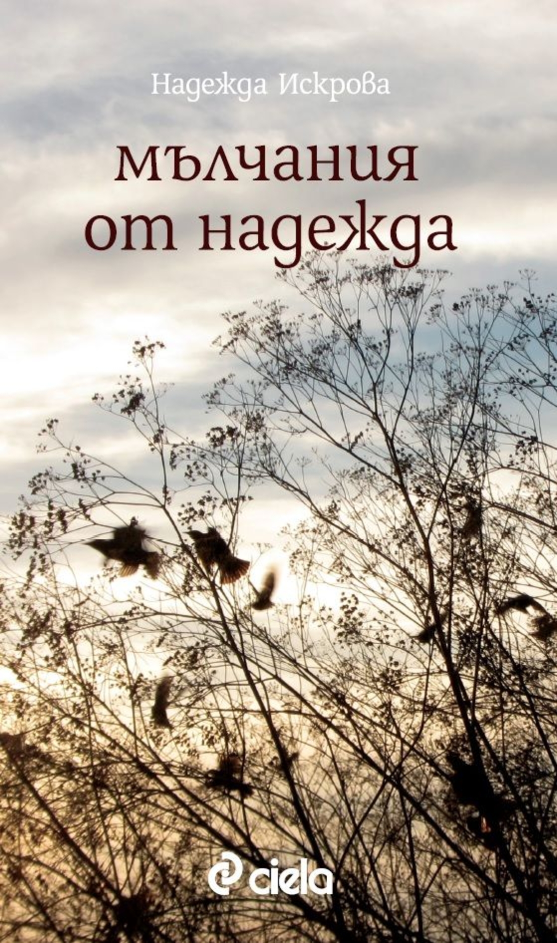 Мълчания от Надежда - Надежда Искрова