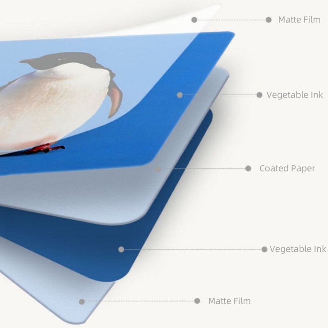 Комплект бебешки карти за визуална стимулация Raya Toys, 0-3 г.