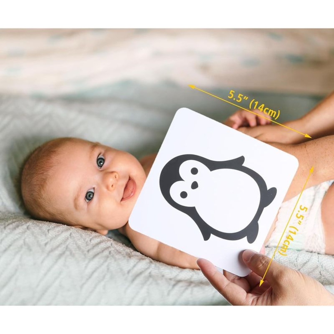 Комплект бебешки карти за визуална стимулация Raya Toys, 0-3 г.