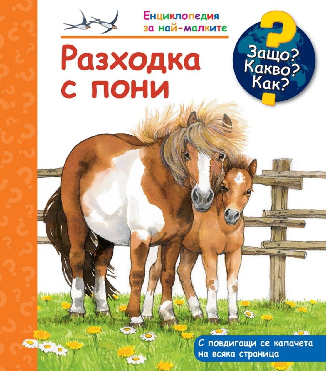 Защо? Какво? Как? - Разходка с Пони
