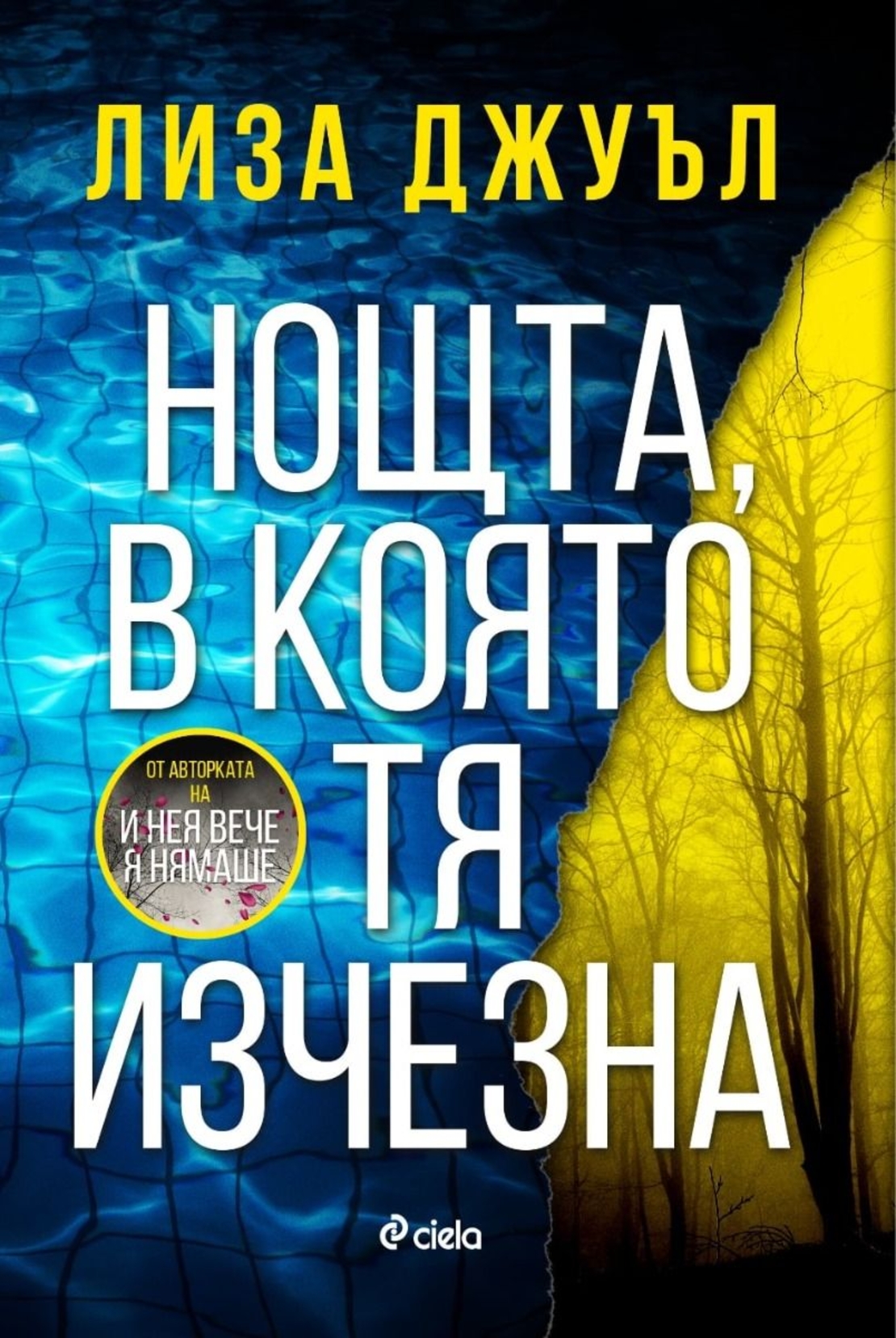 Нощта, в която тя изчезна - Лиза Джуъл