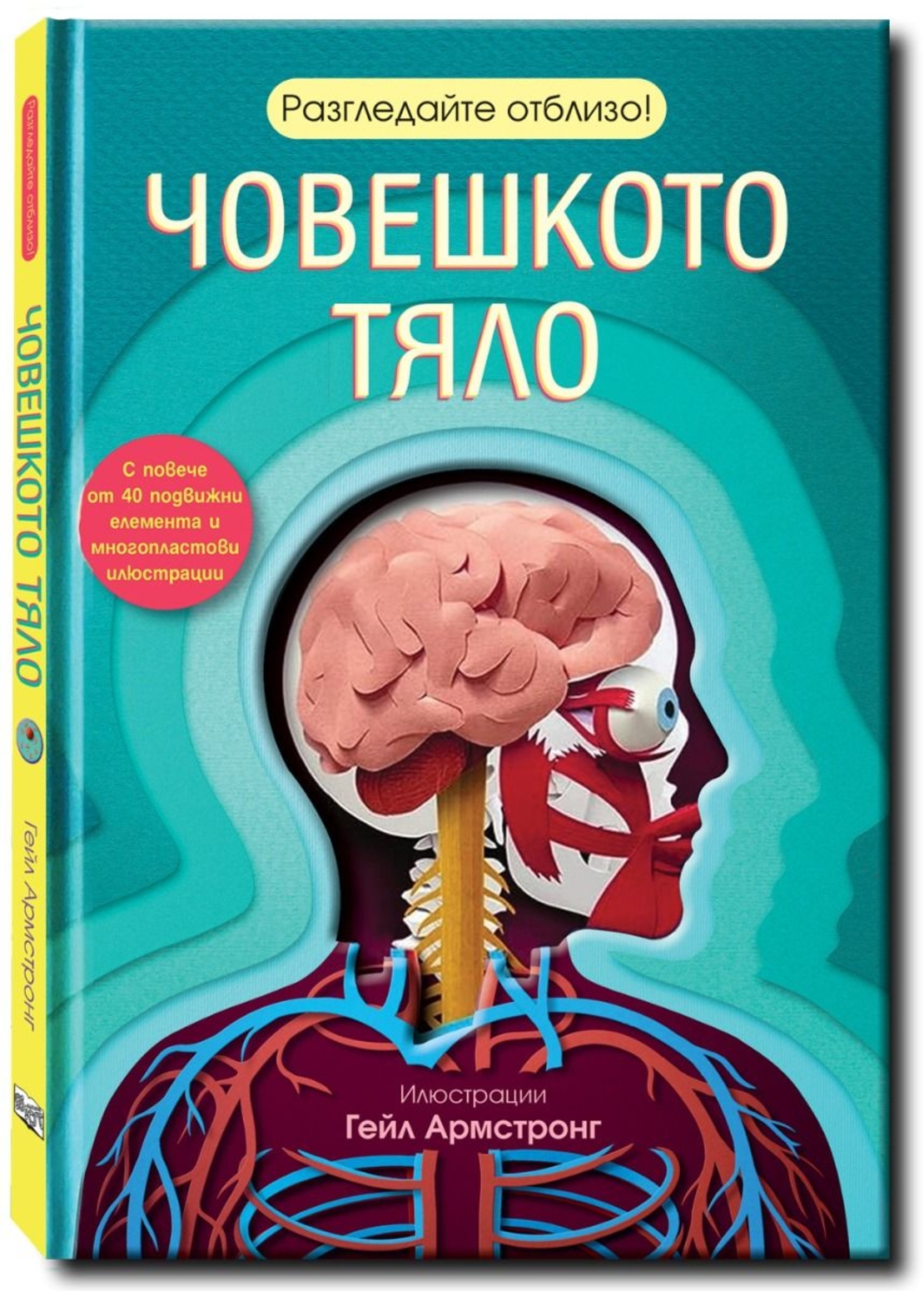 Разгледайте отблизо - Човешкото тяло