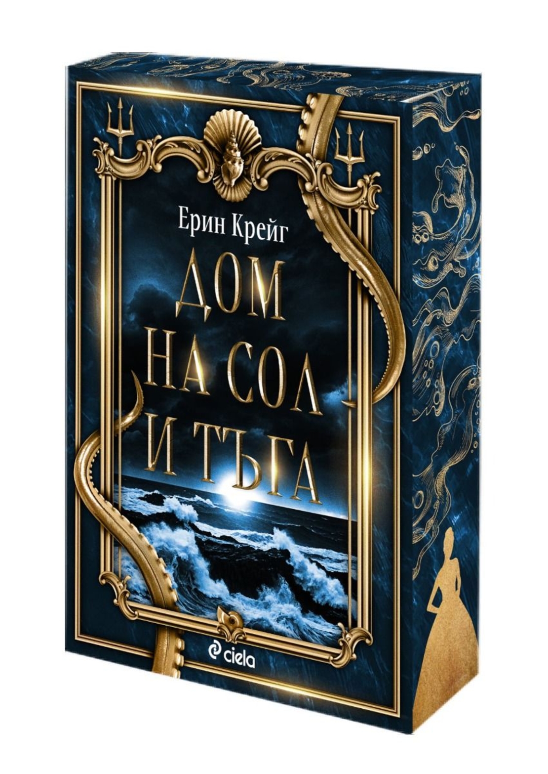 Дом на сол и тъга - Ерин Крейг