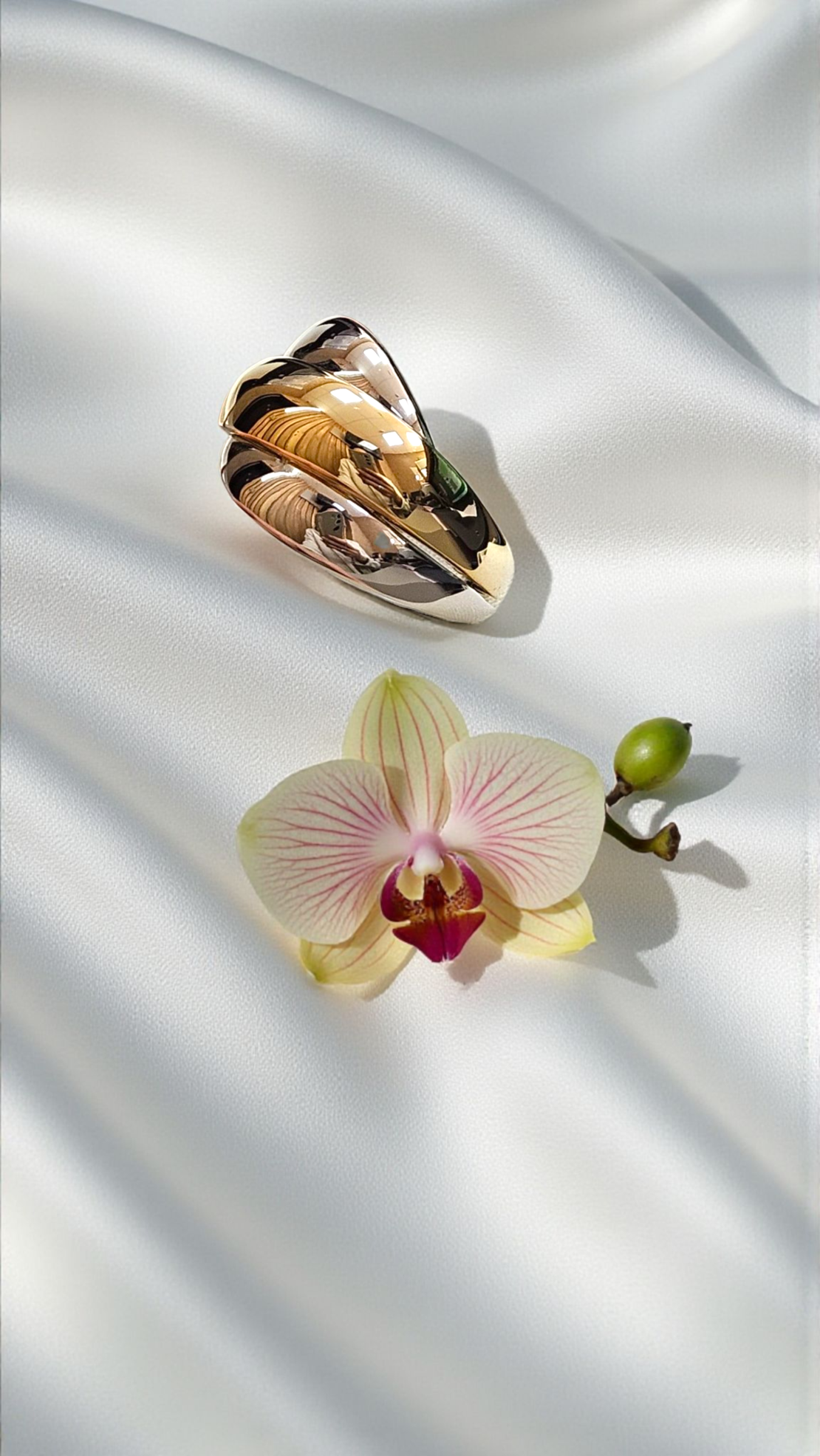 Златен пръстен 