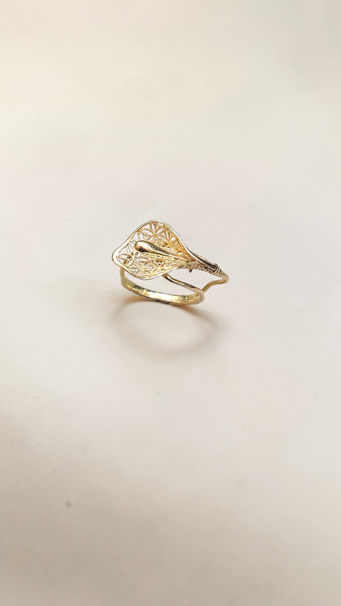 Златен пръстен 