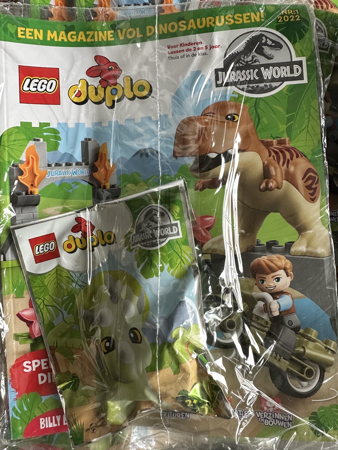 Дупло номер 1