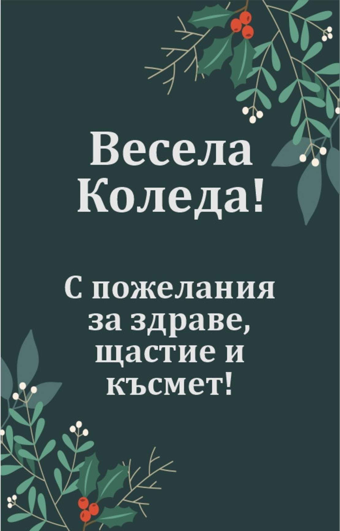 Коледен магнит 1