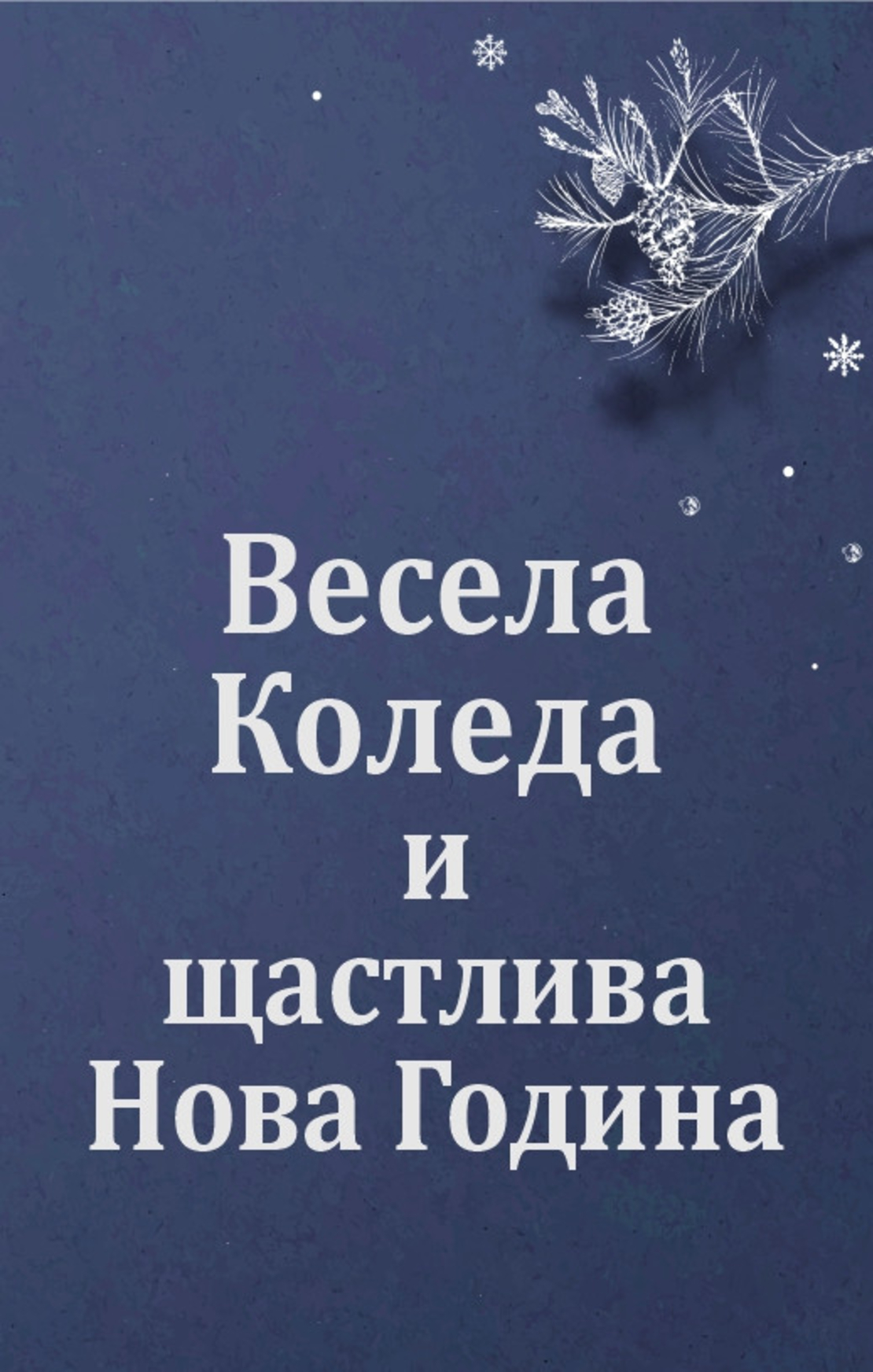 Коледен магнит 14
