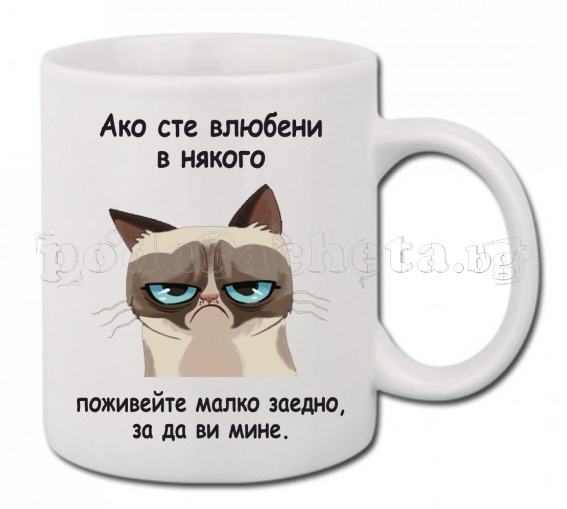 Бяла керамична чаша - Grumpy Cat 6