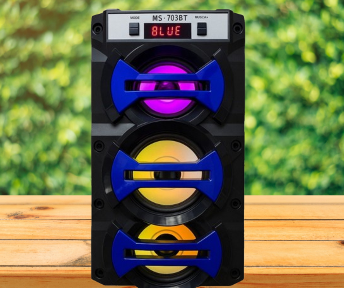 Колона MS-703BT - навсякъде с вас!