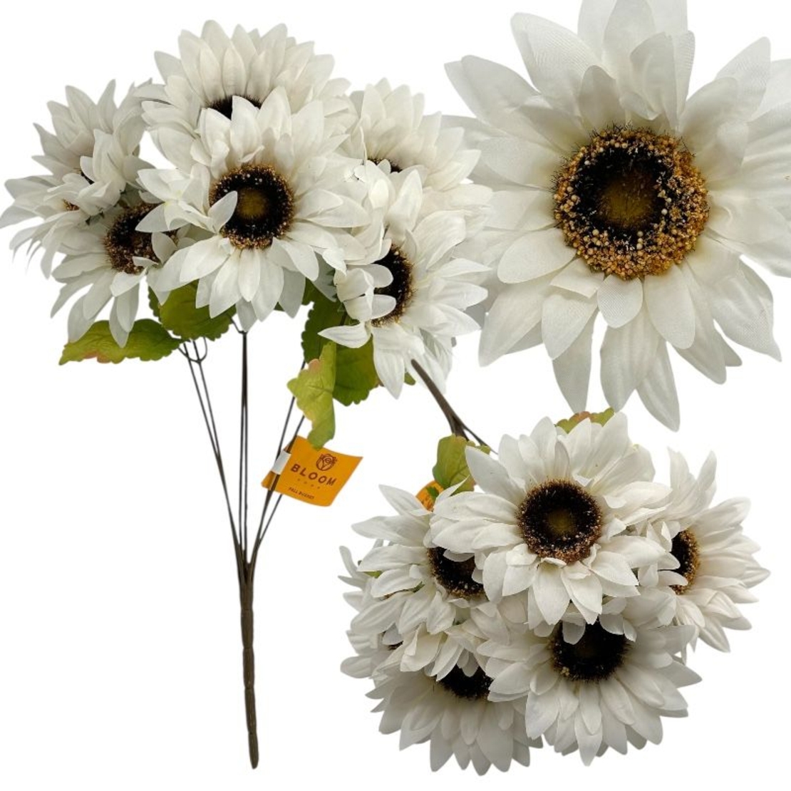 Бял слънчоглед