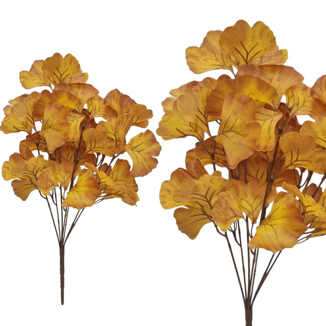 Стрък гинкобилоба