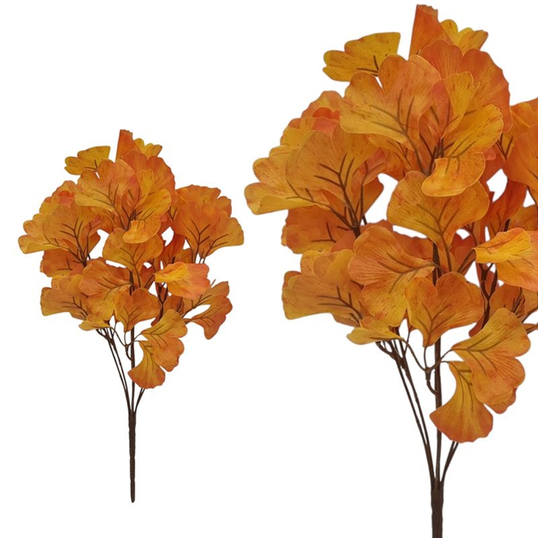 Стрък гинкобилоба