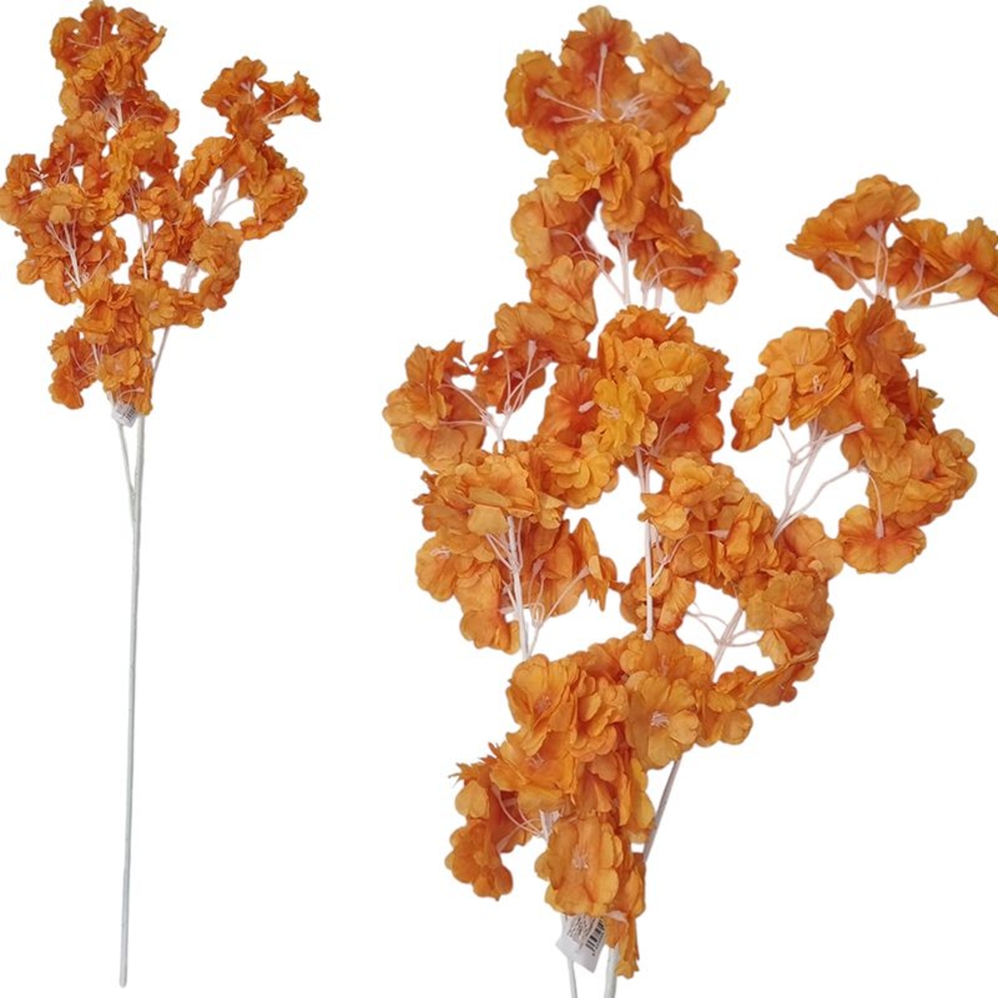 ЧЕРЕШОВ КЛОН