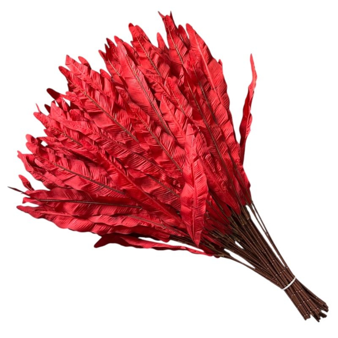 Червена клонка  с дълги листа