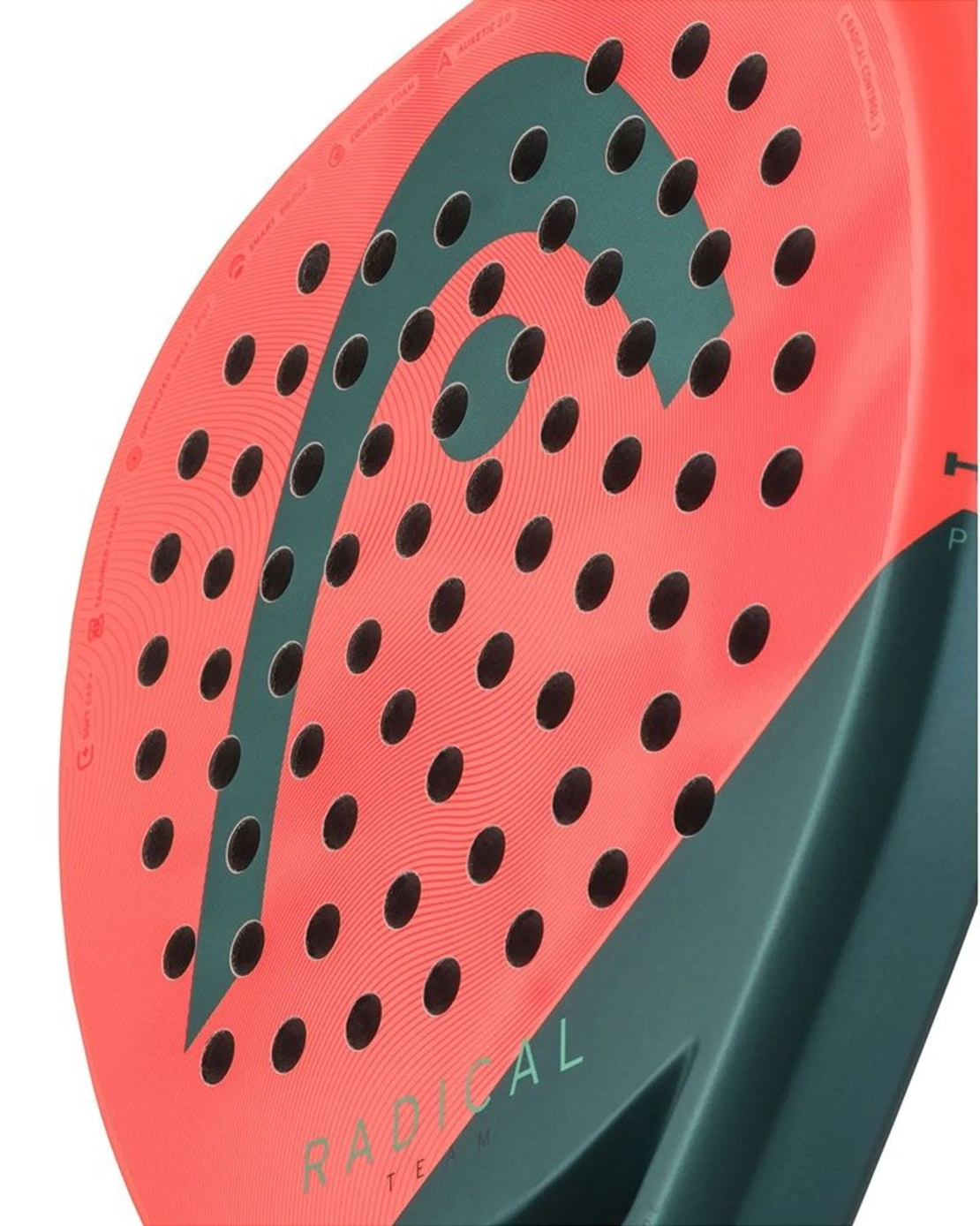 Head Radical Team 2026