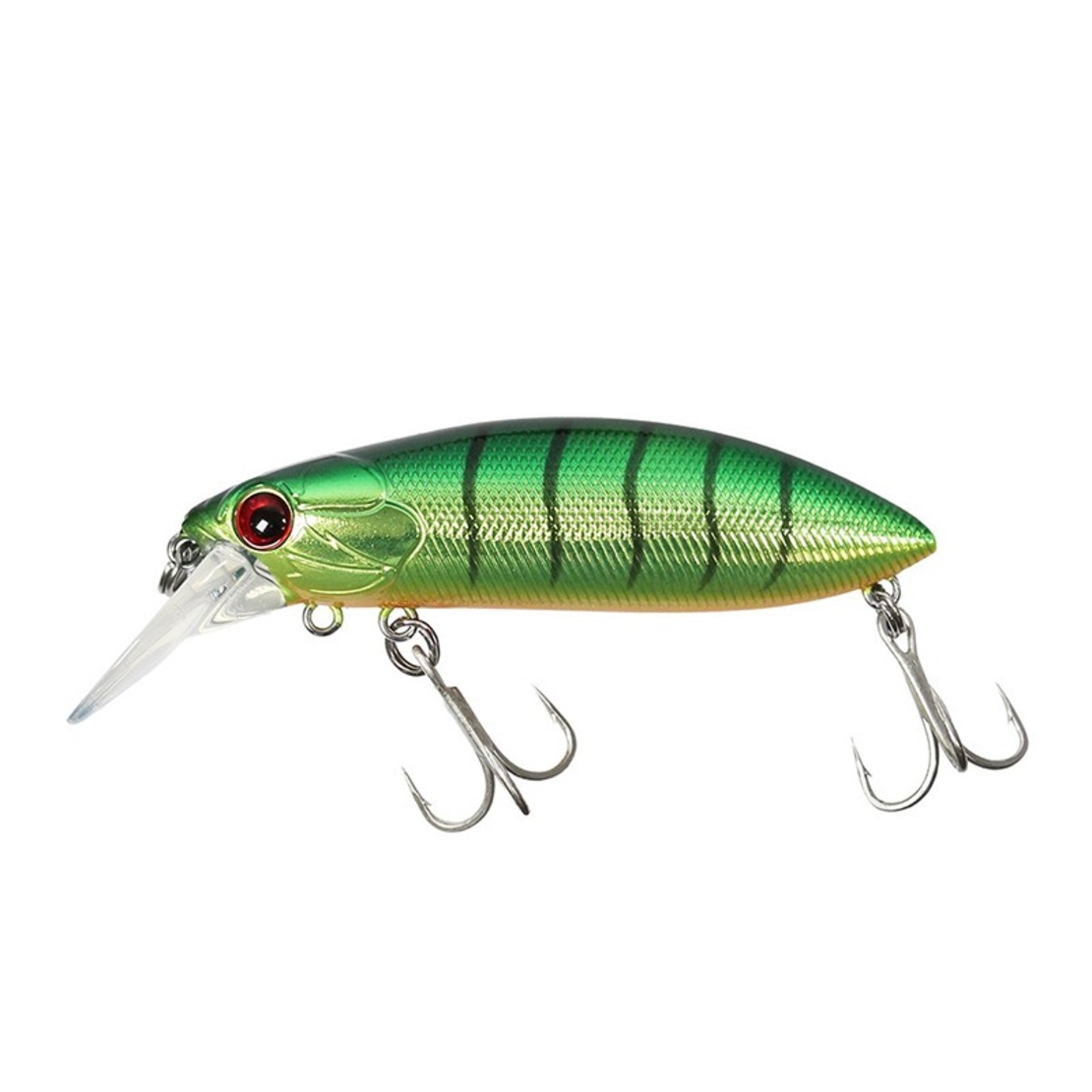 Sea Buzz The Catcher