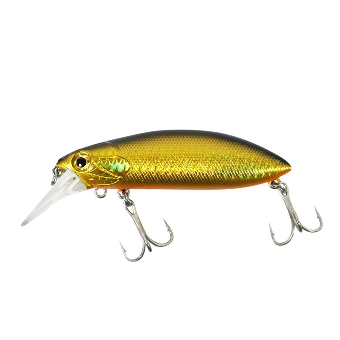 Sea Buzz The Catcher