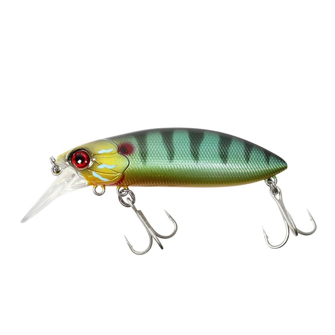 Sea Buzz The Catcher