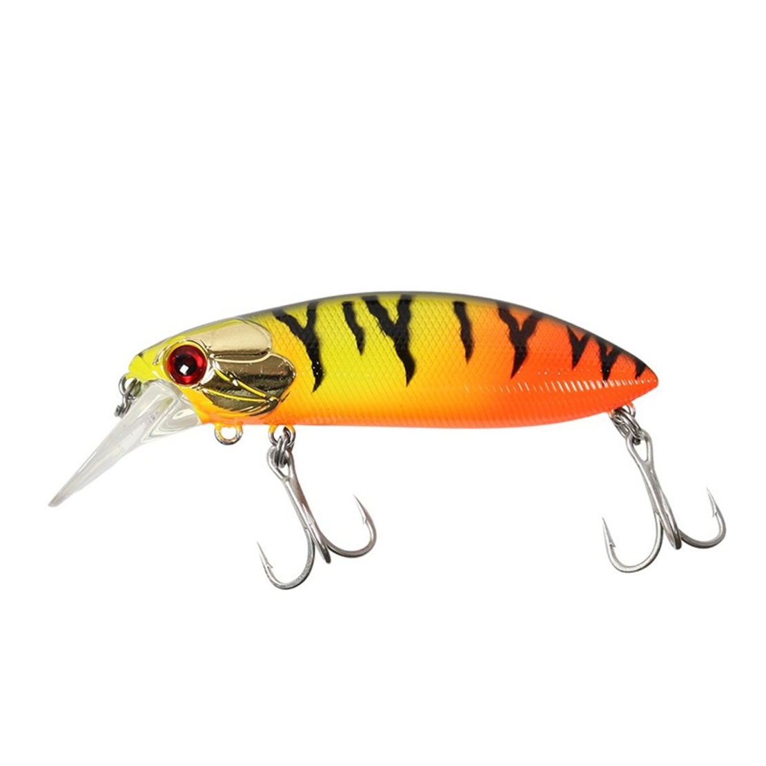 Sea Buzz The Catcher