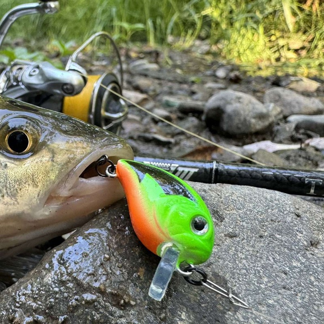 Sea Buzz Chub Bug SR - ВОБЛЕР