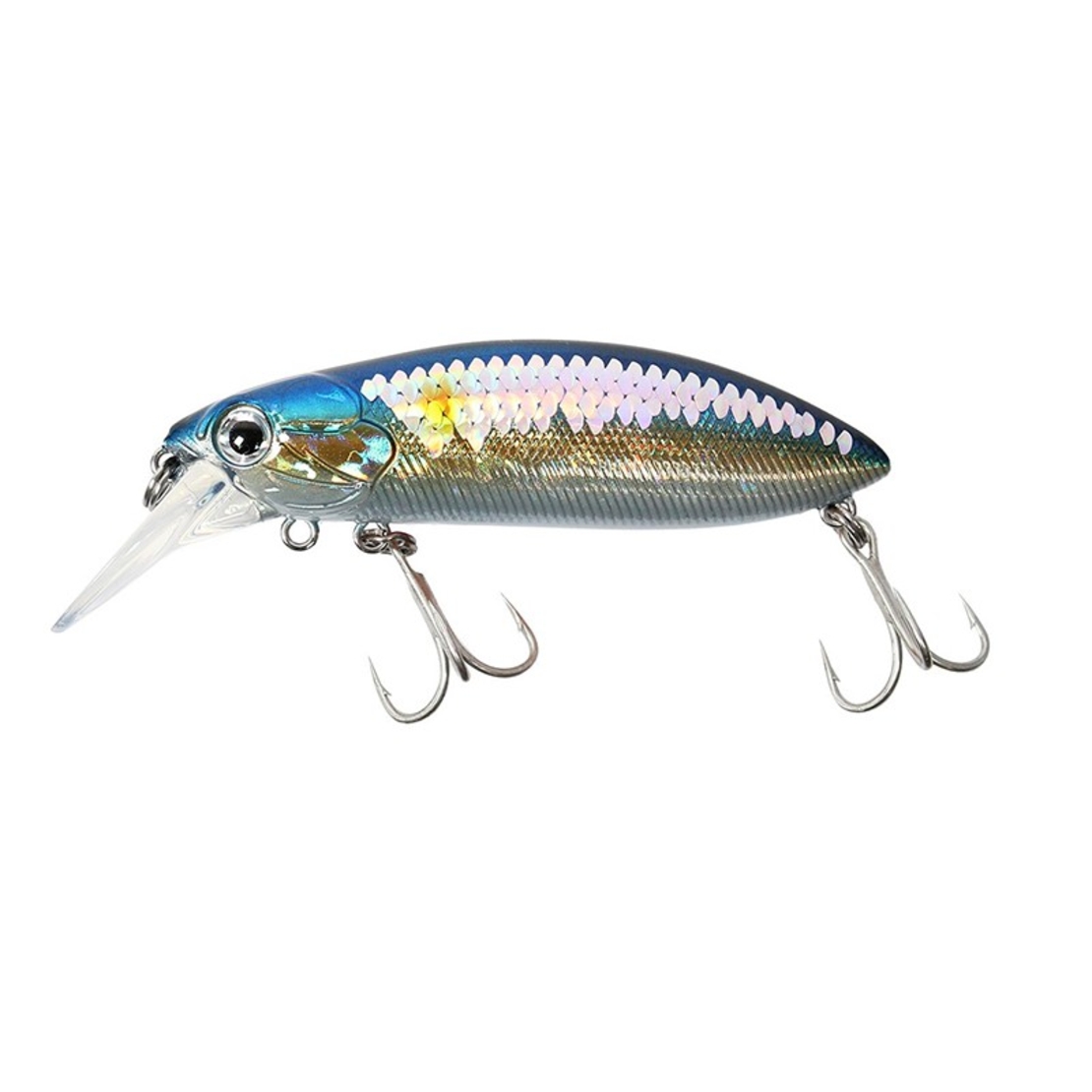 Sea Buzz The Catcher