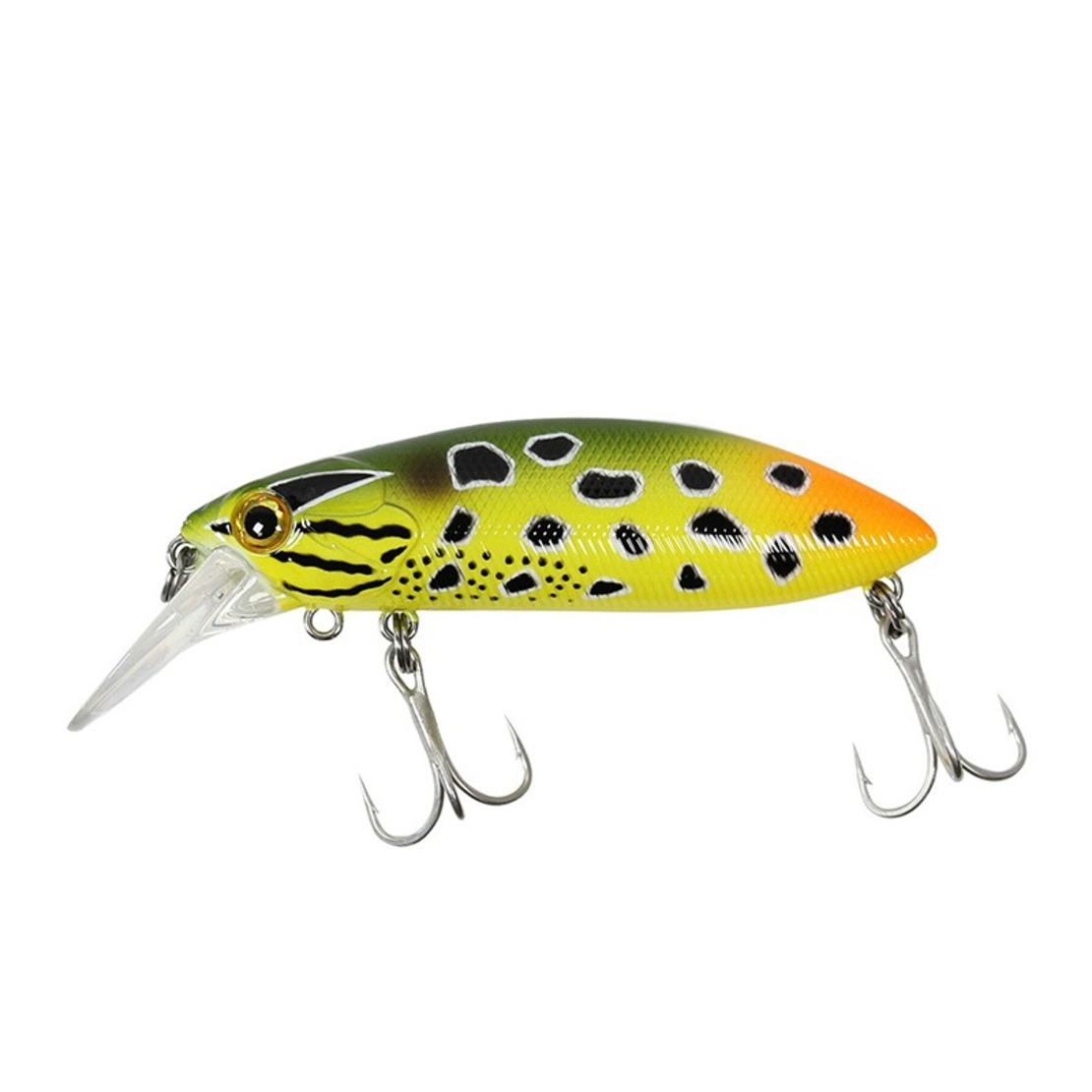 Sea Buzz The Catcher