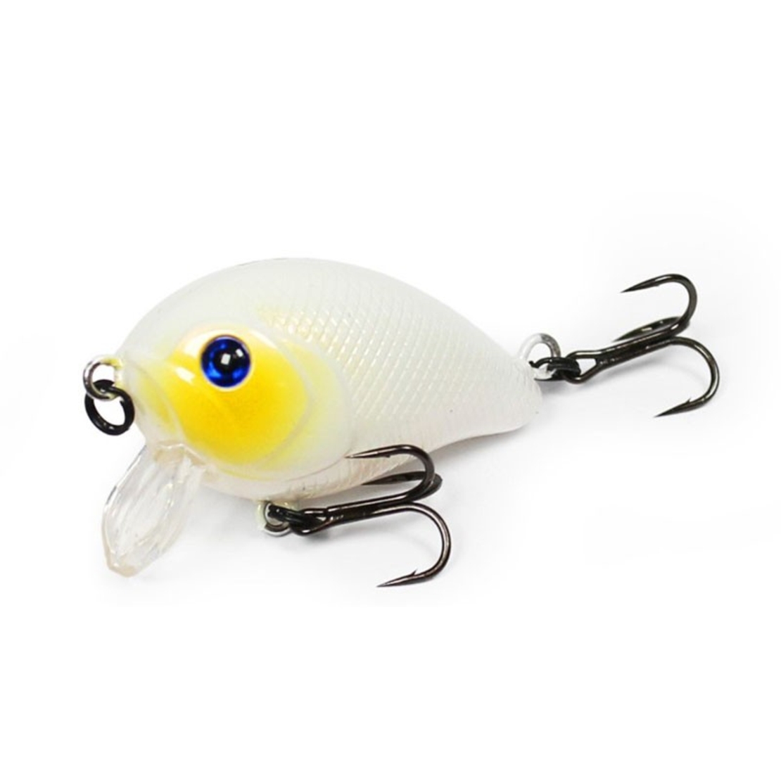 SeaBuzz Big Chub