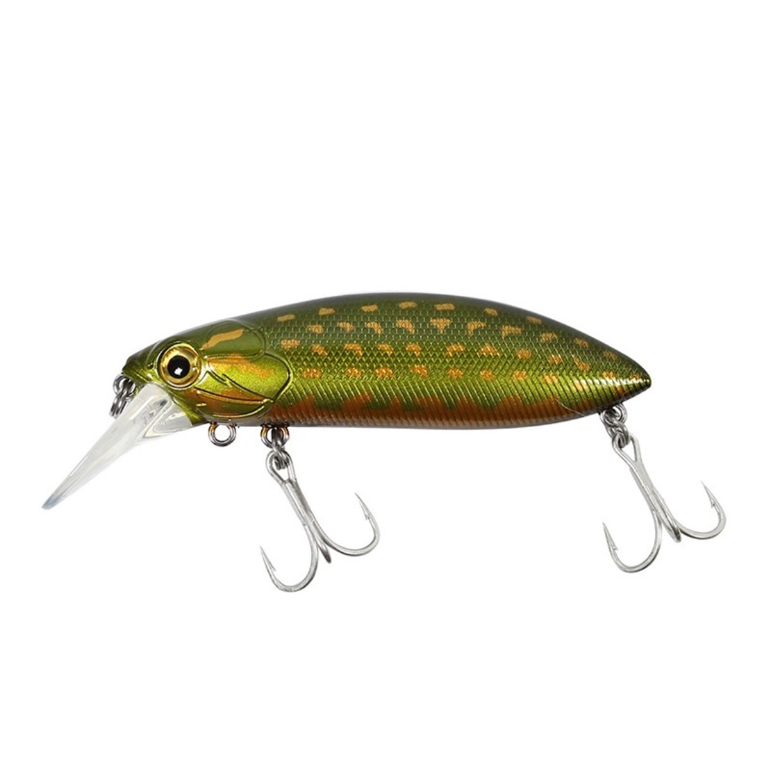 Sea Buzz The Catcher