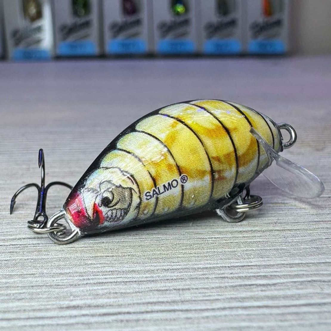 Salmo Tiny