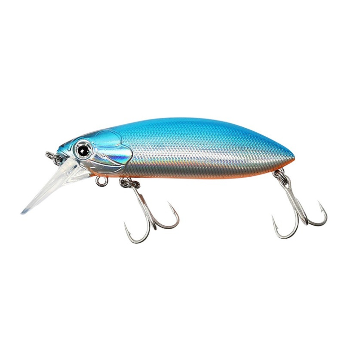 Sea Buzz The Catcher