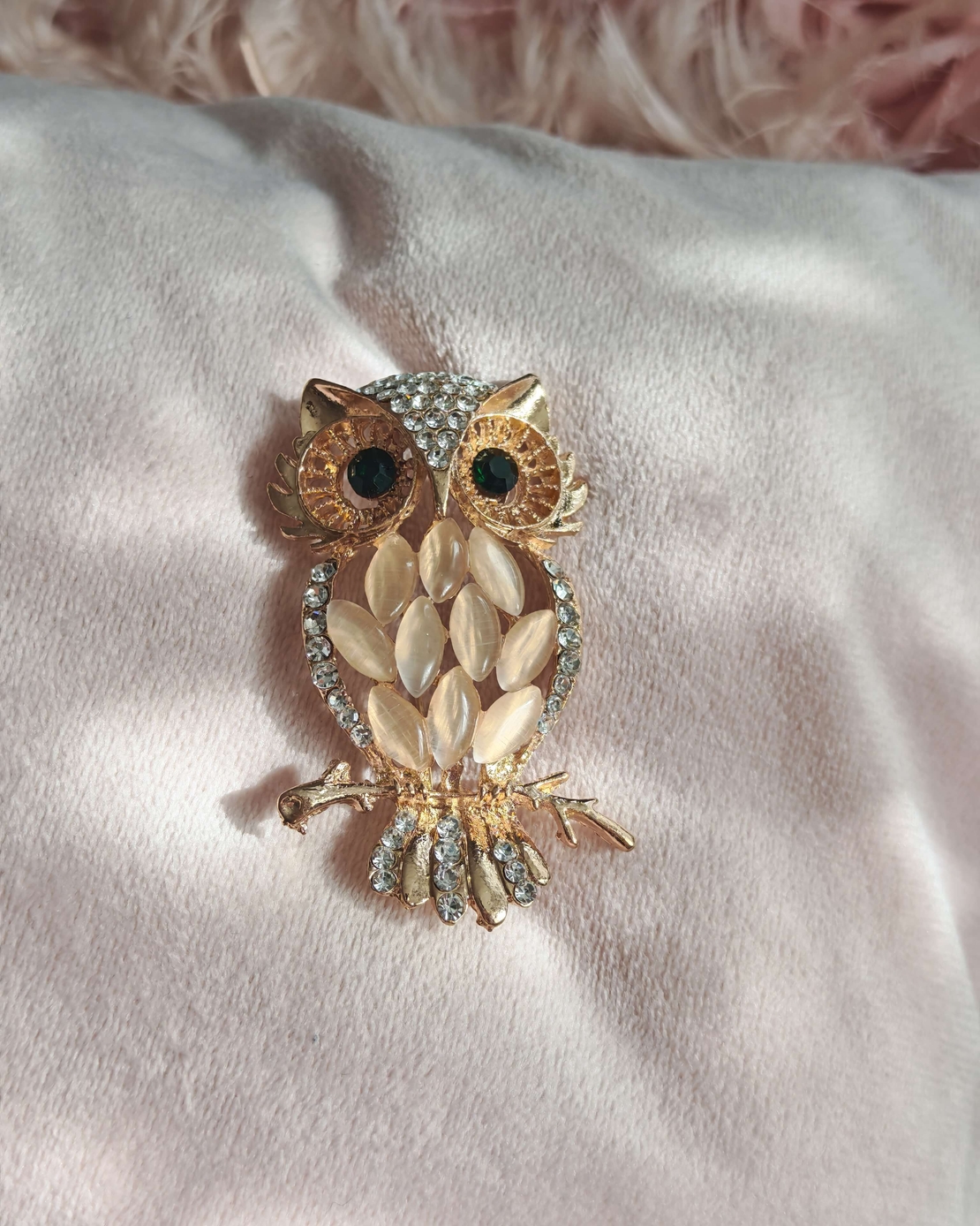 Брошка бухал