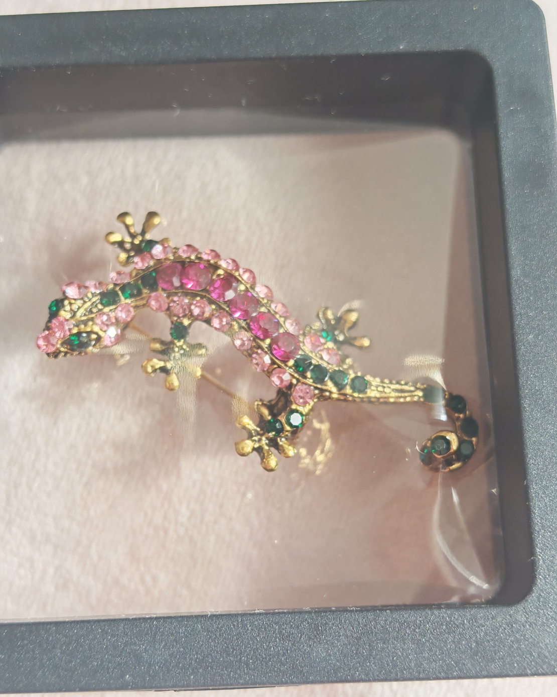 Брошка саламандар