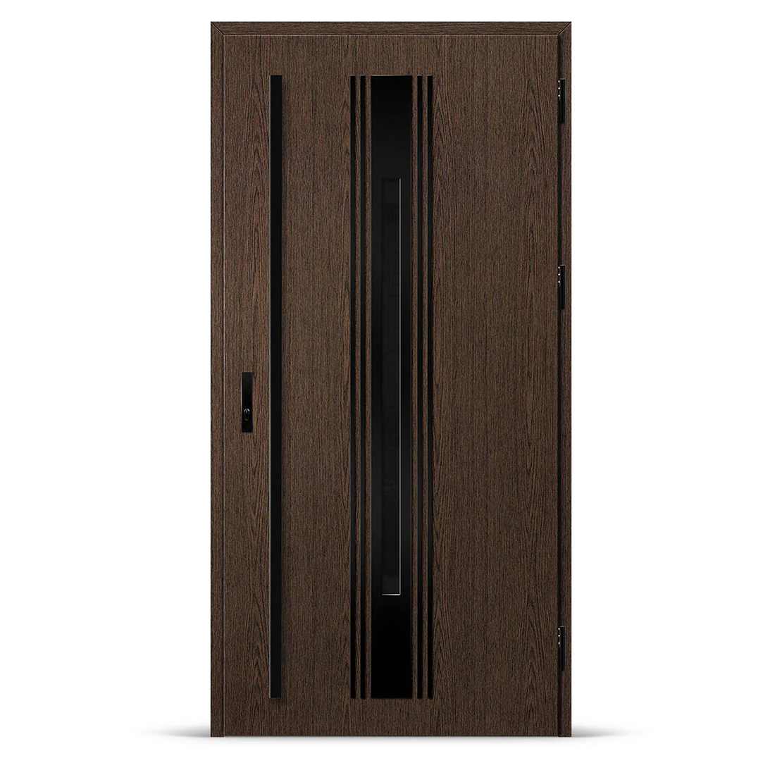 Входна врата WELS 5