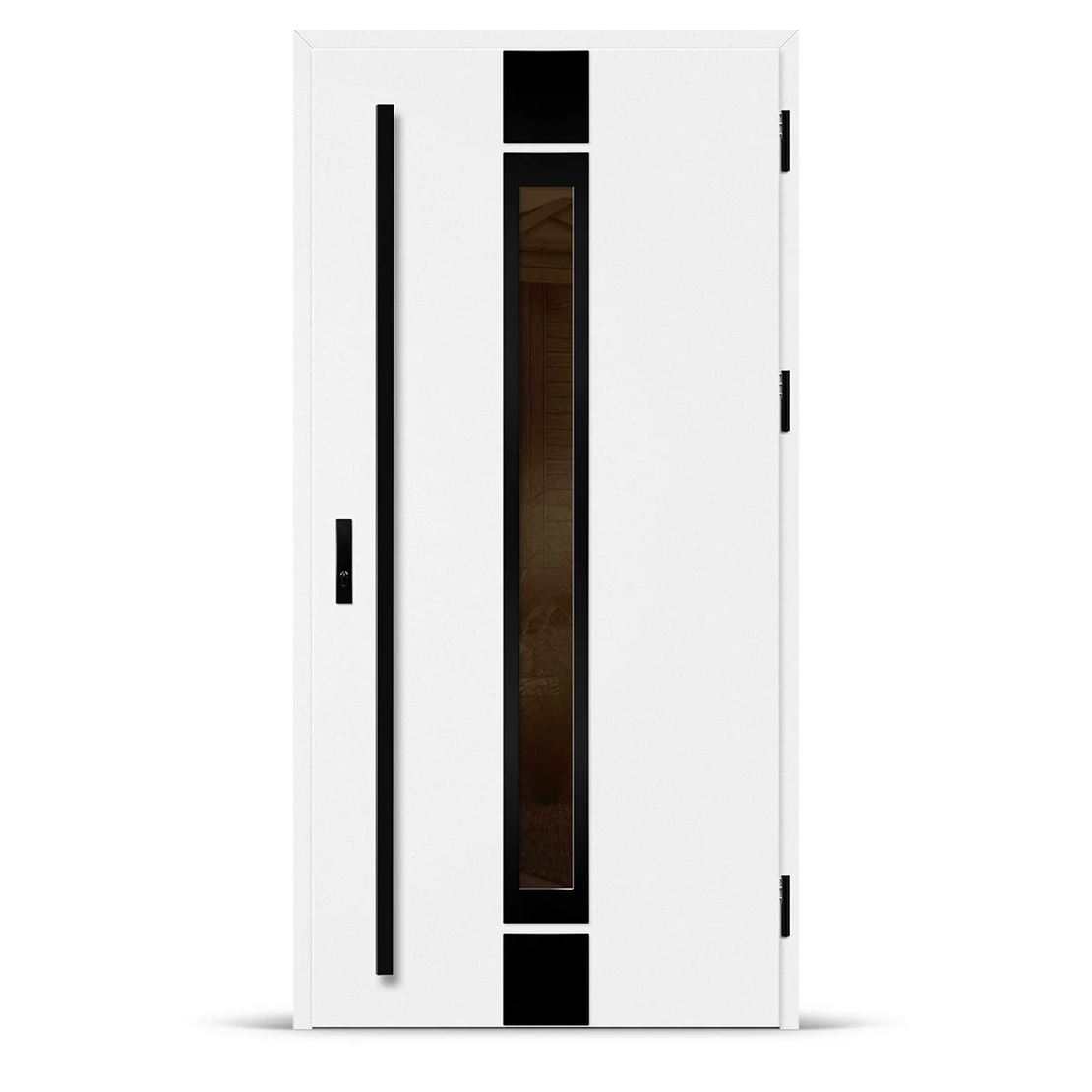 Входна врата SINGEN 3