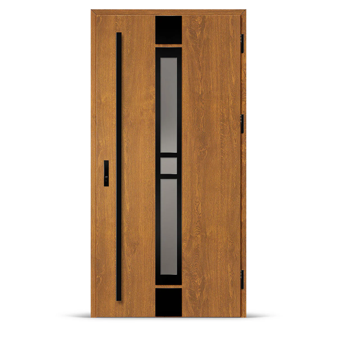 Входна врата SINGEN 4