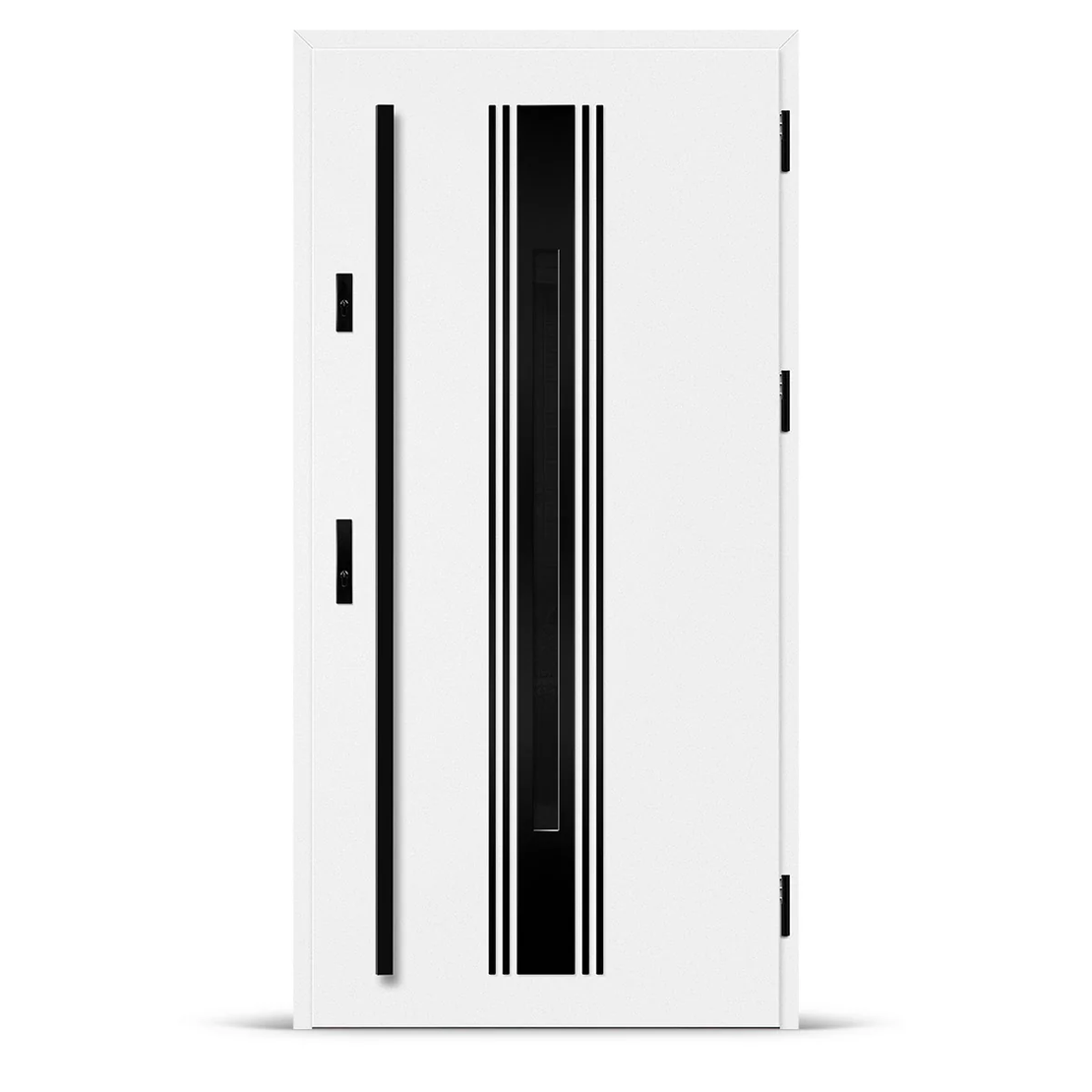 Входна врата WELS 5