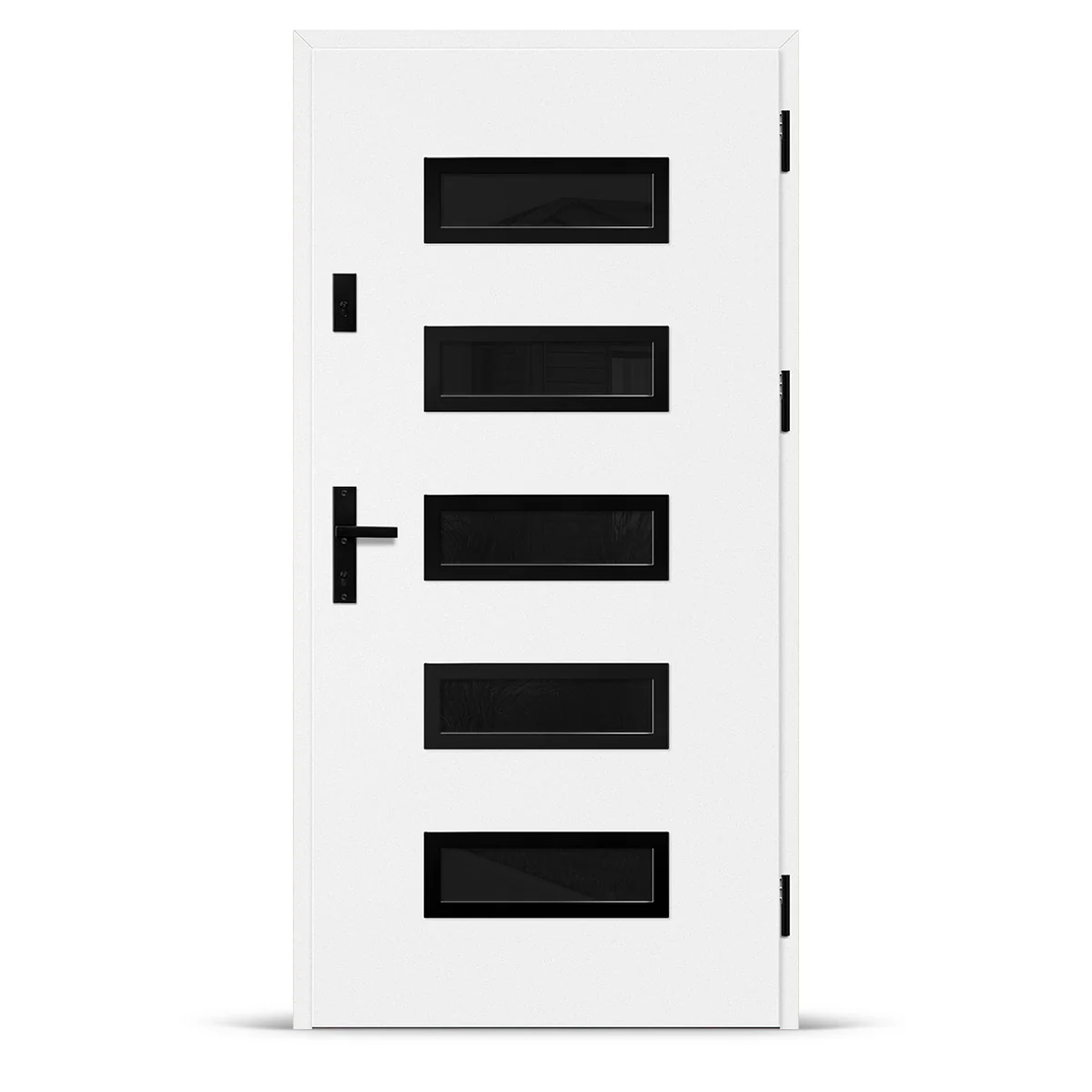 Входна врата RODING 1