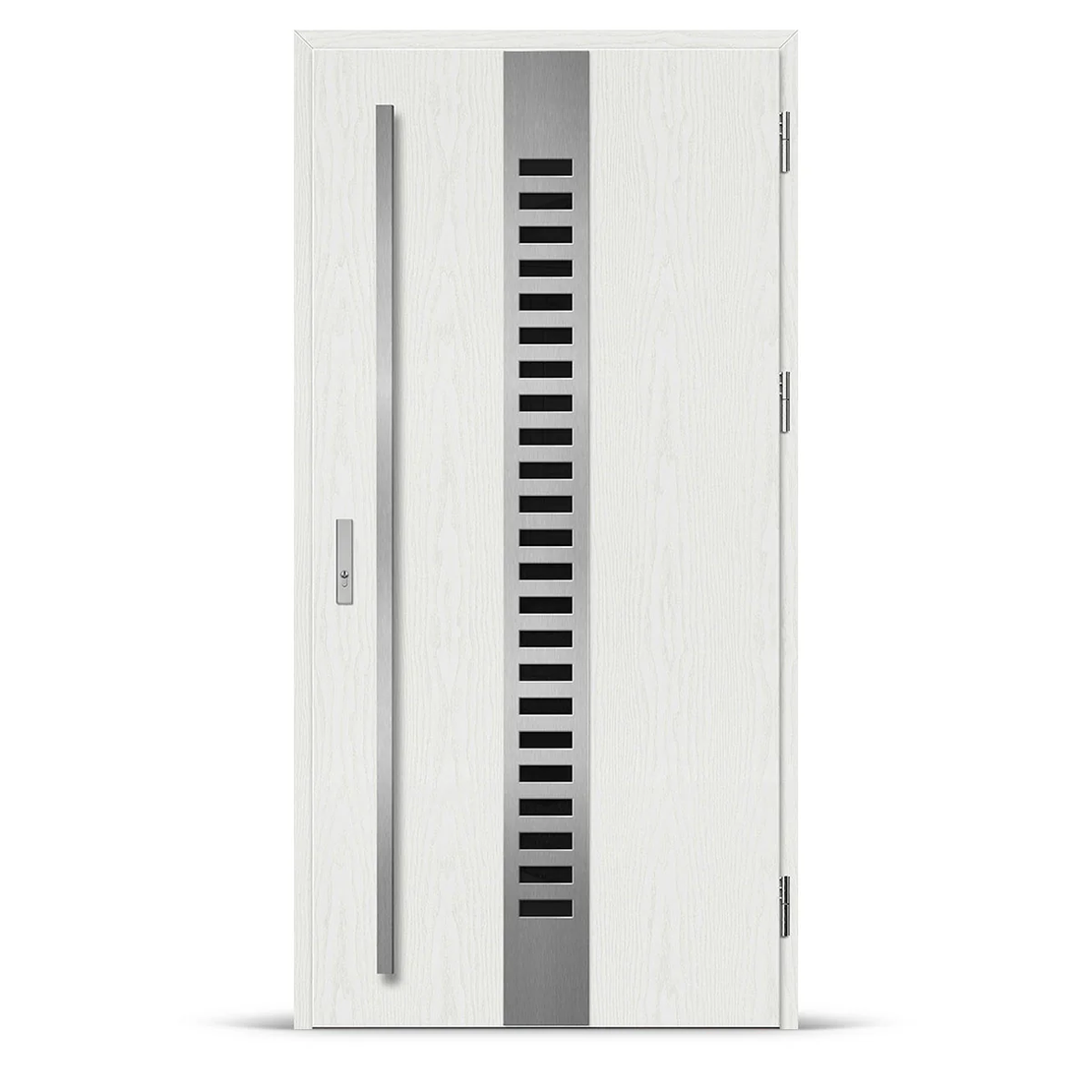 Входна врата SELTERS 1