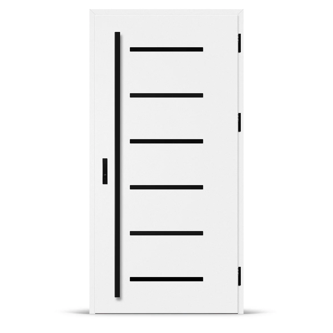 Входна врата BIENE 4