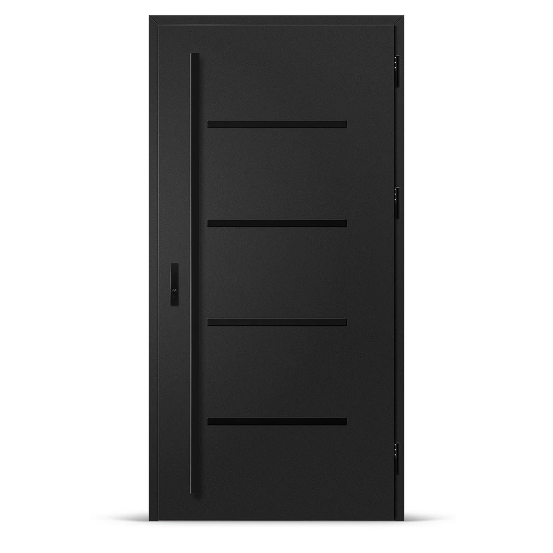 Входна врата BIENE 3