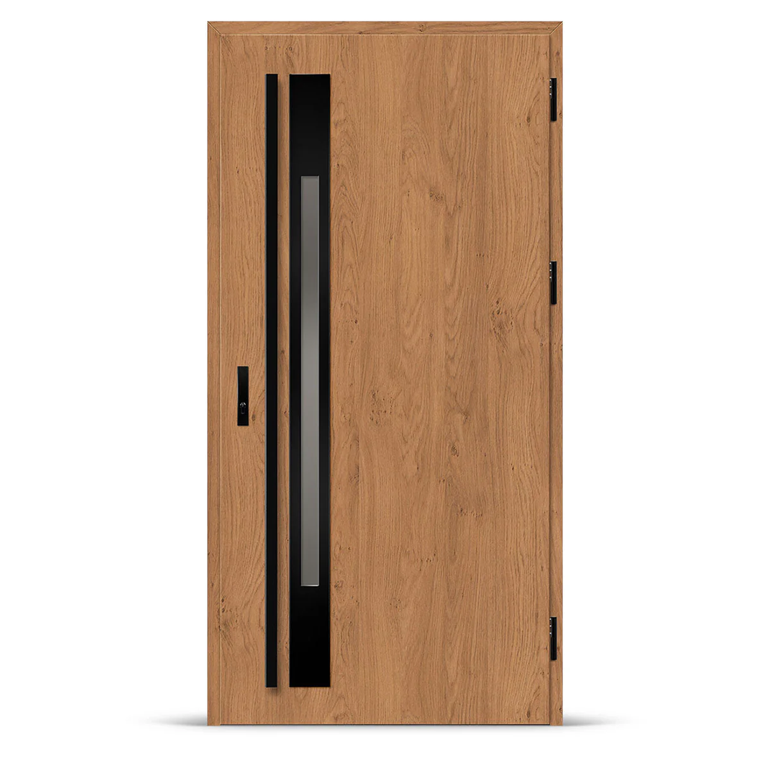 Входна врата WELS 1