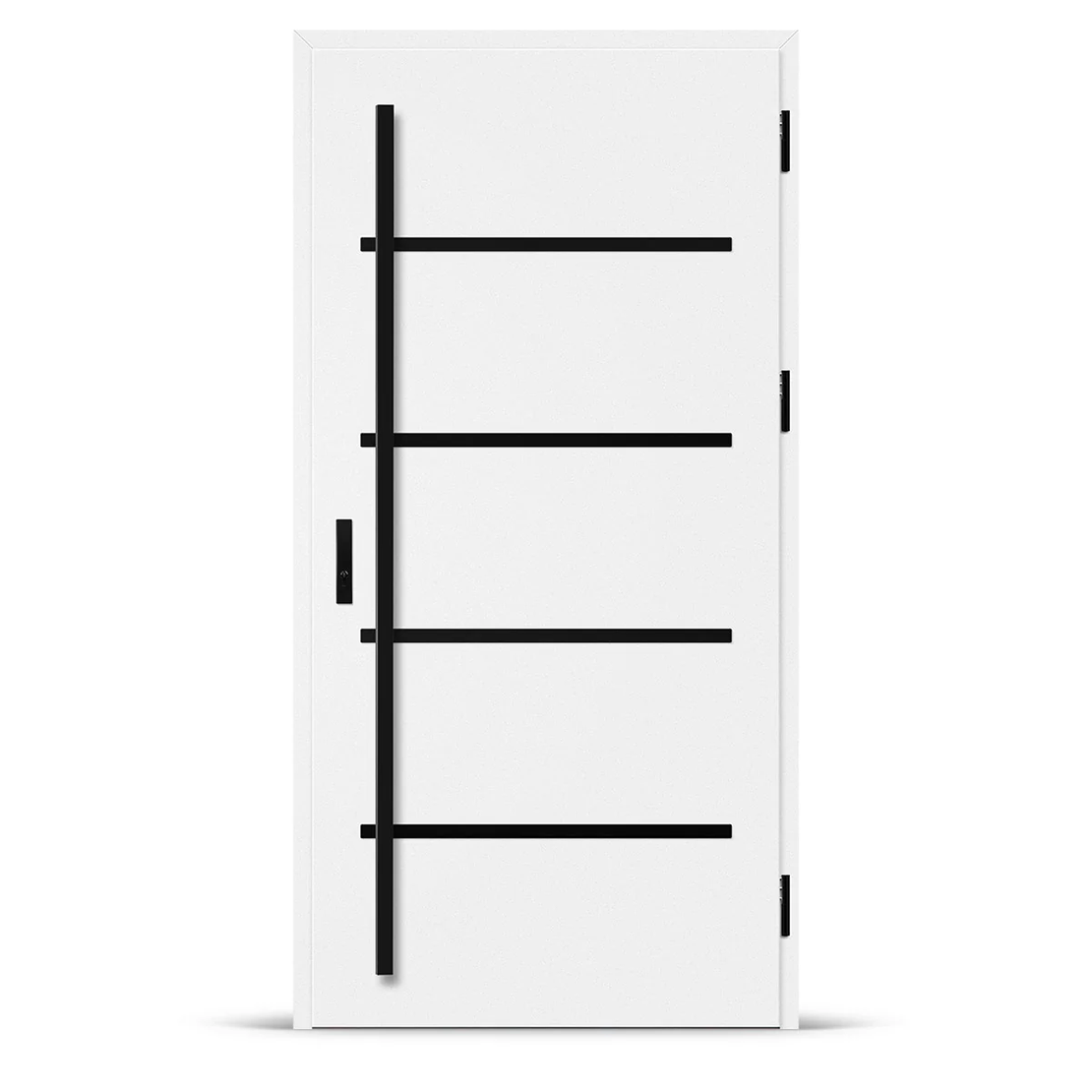 Входна врата BIENE 2