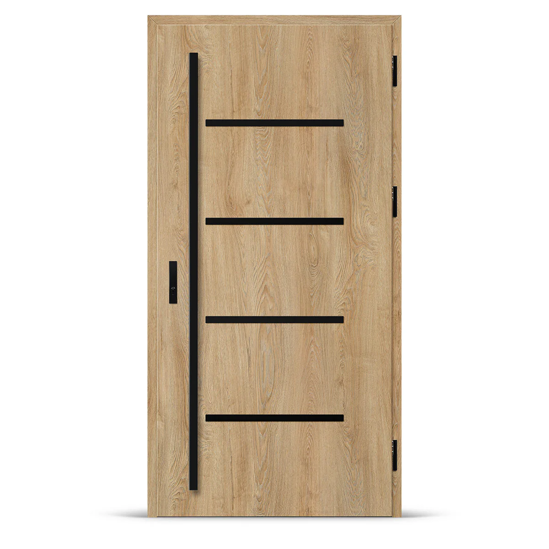 Входна врата BIENE 3