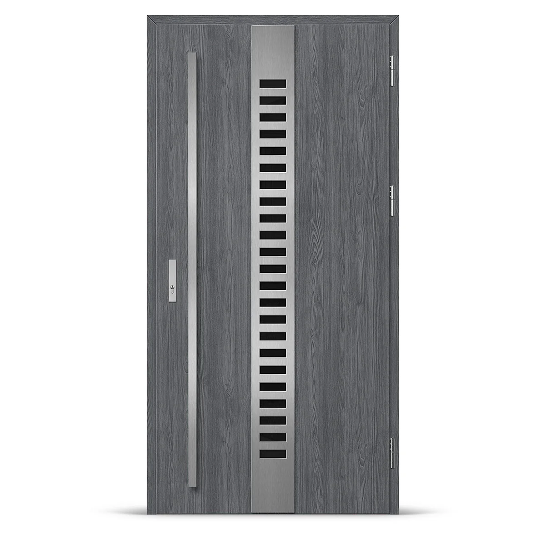 Входна врата SELTERS 1