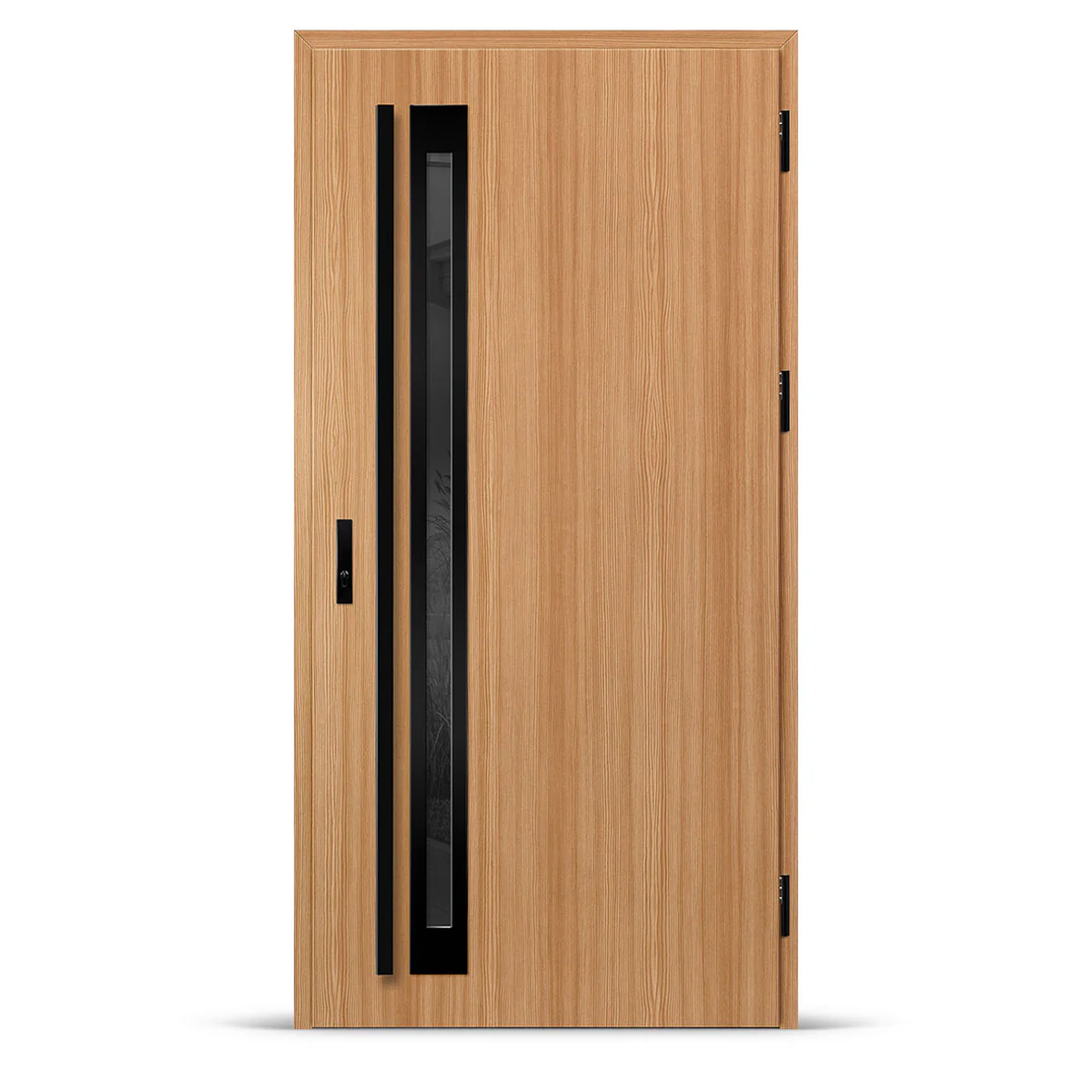 Входна врата TREBUR 1