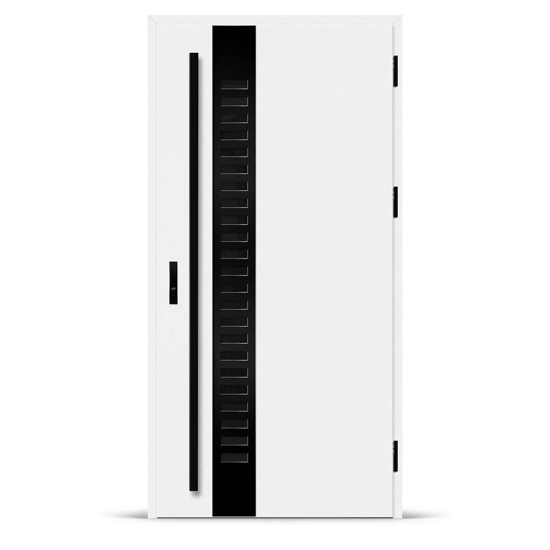 Входна врата SELTERS 2