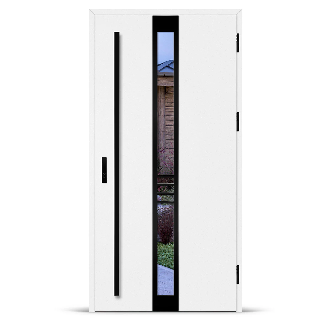 Входна врата SINGEN 2