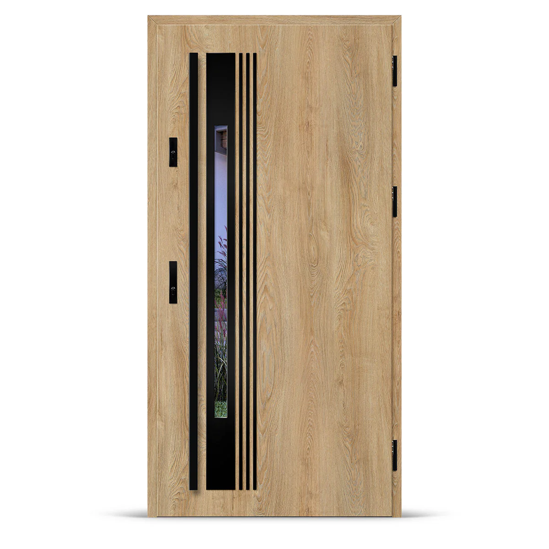 Входна врата WELS 4